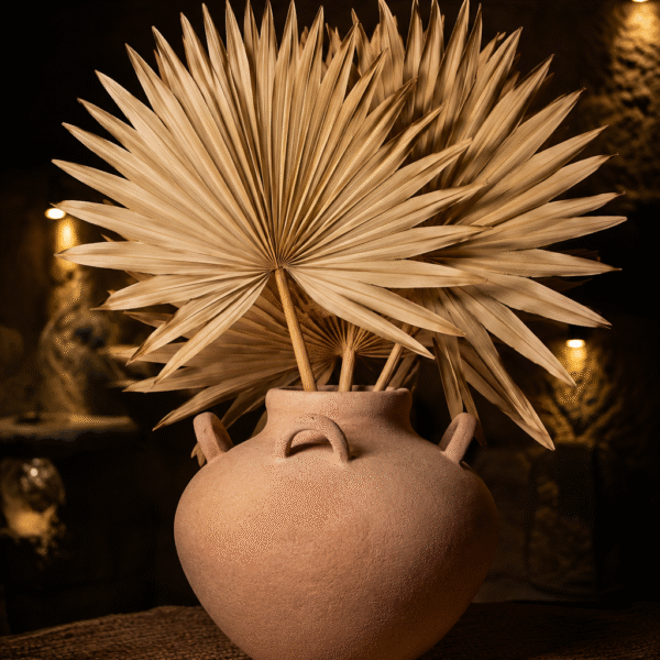 Solara Vessel